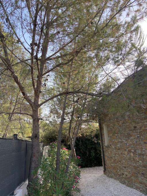 Maison Proche Du Pic Saint Loup Bagian luar foto